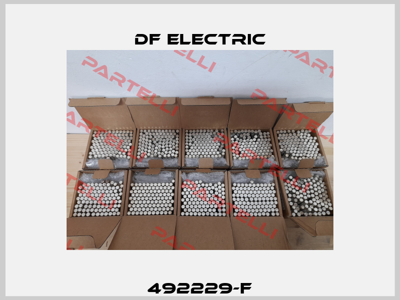 492229-F DF Electric