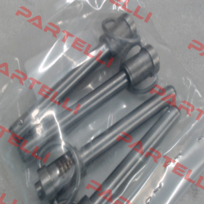 800256 Jergens