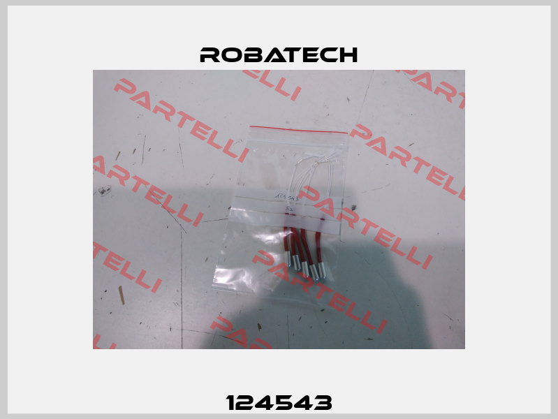 124543 Robatech