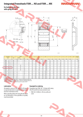 P/N: 4867-066300-040H33, Type: FXM 66-25 NX Ringspann