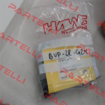 BVP-2R-G24 Hawe