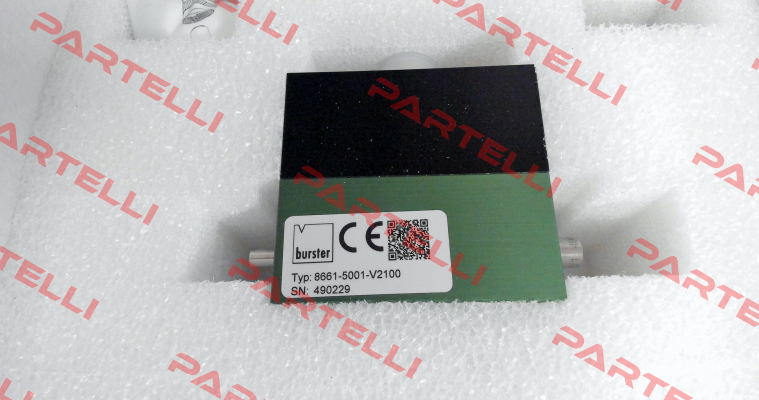 8661-5001-V2100 Burster