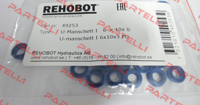 49253 Rehobot
