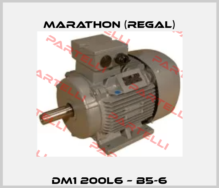 DM1 200L6 – B5-6 Marathon (Regal)