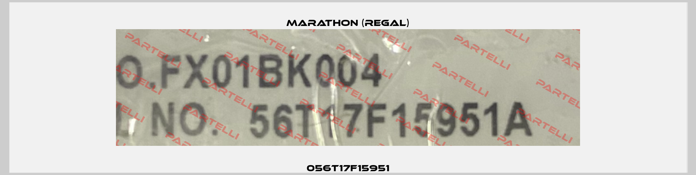 056T17F15951 Marathon (Regal)