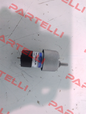 RH158.24.30 Micro Motors