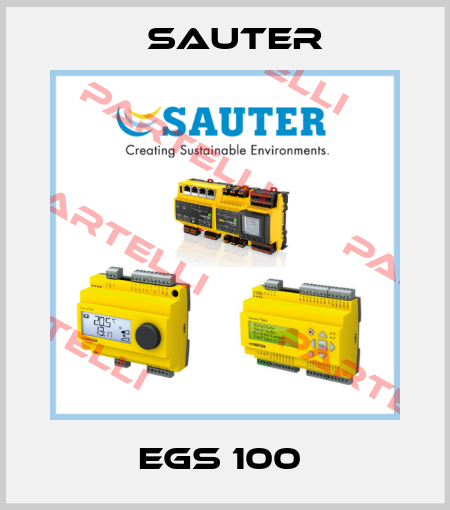 EGS 100  Sauter