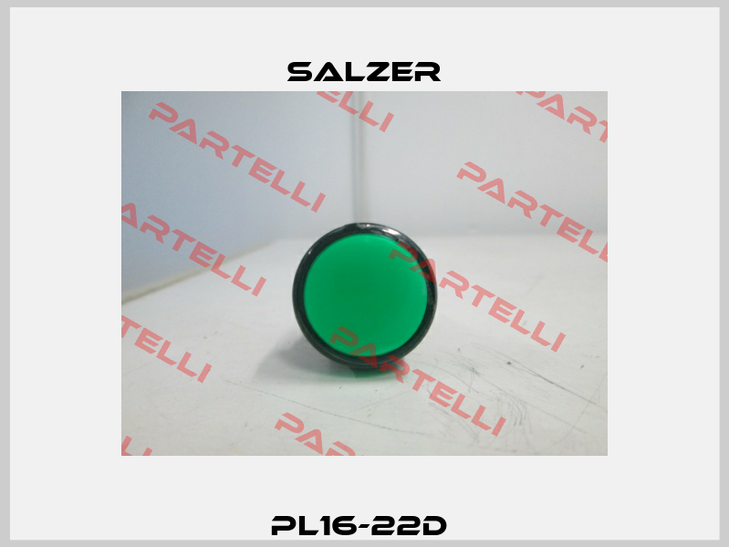 PL16-22D  Salzer
