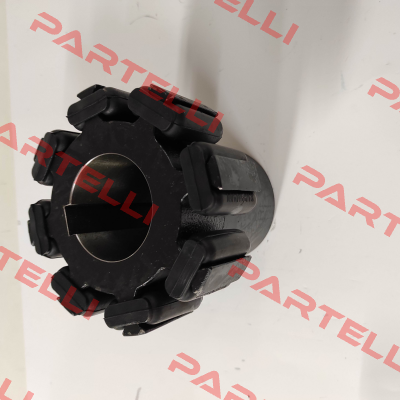0063S2-2 Kauermann