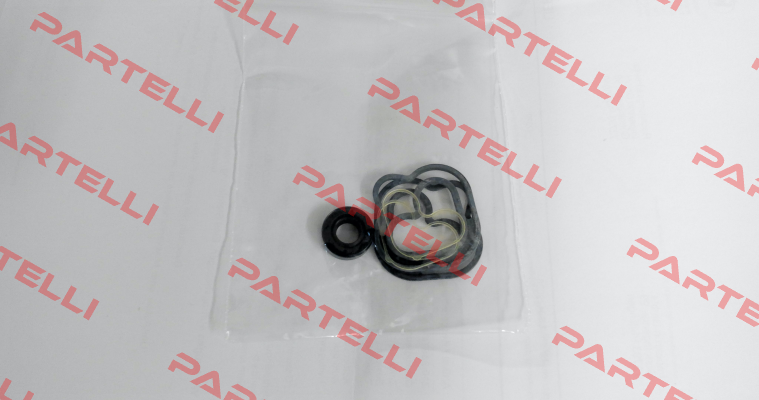 Seal kit pump 00 Caproni