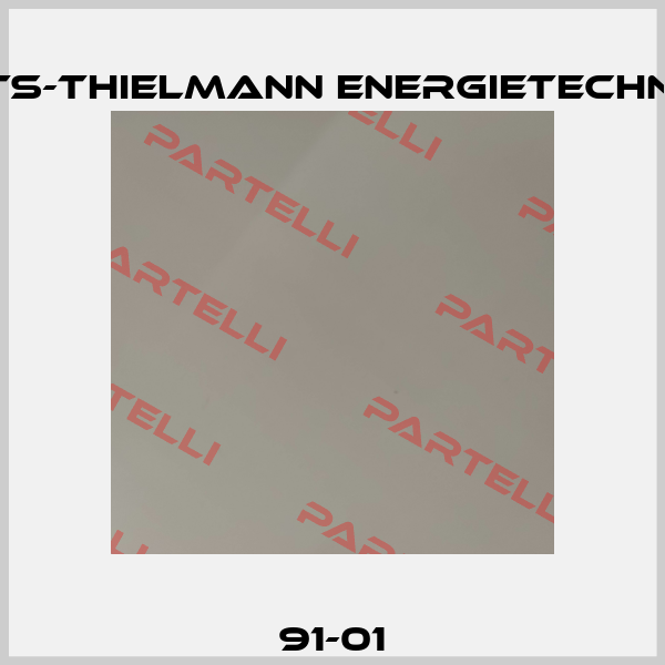 91-01 GTS-Thielmann Energietechnik