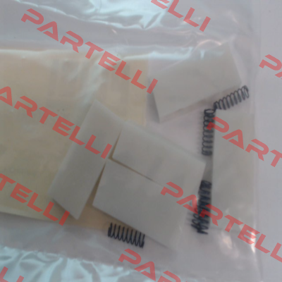 R13926000 Piusi