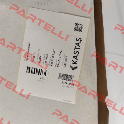 10014458 - K25 250X30X35 Kastas Sealing
