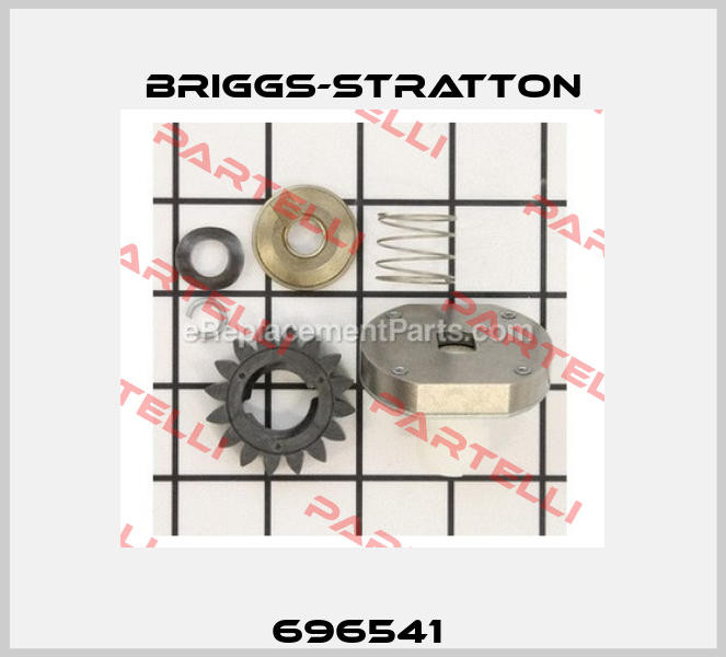 696541  Briggs-Stratton