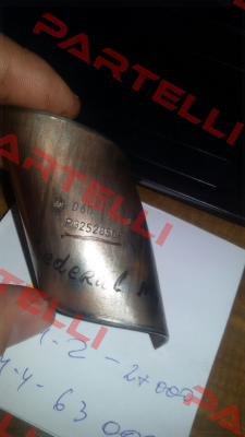 PG 252850 F  Federal Mogul