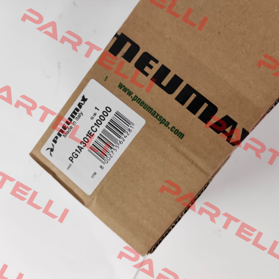PG1A301EC10000 Pneumax