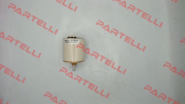1304Z10-000.001 FSG Fernsteuergeräte