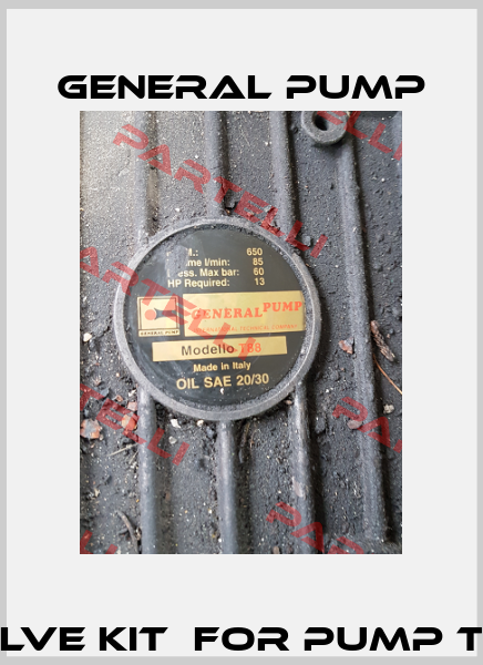 Valve Kit  for pump T88 General Pump