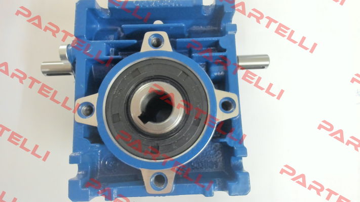 NRV030 30,0 09*20VS 14 U MV / 4005979 Motovario