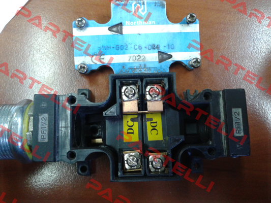 SWH-G02-C6-D24-10 Northman