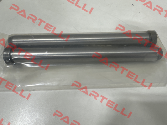 Z01/20x200 Hasco