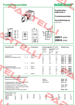 H226-41300-206V4 Salzer