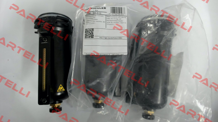 135861 / MS 45 FS Riegler