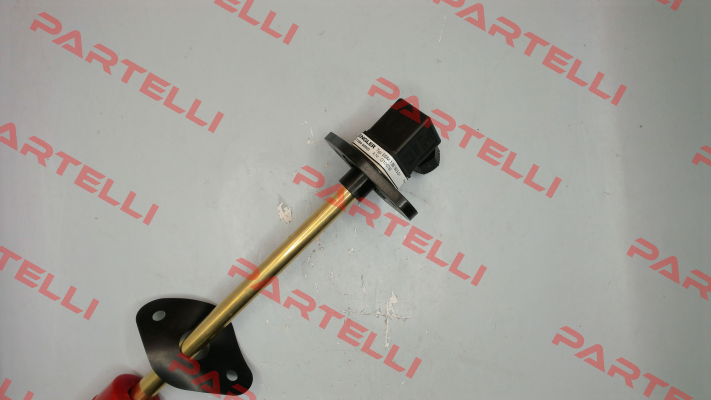 SSM.1.B5.180.5.S1 Engler