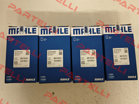 029 WV 20 00 MAHLE