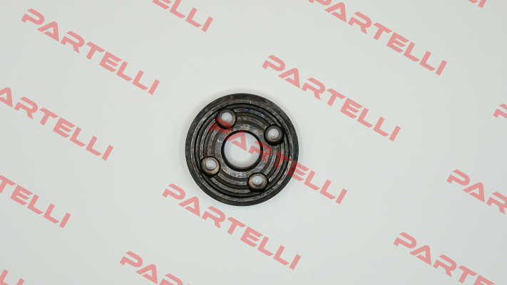P0528 Pasquin