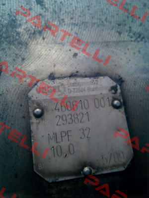 293821 Vogel