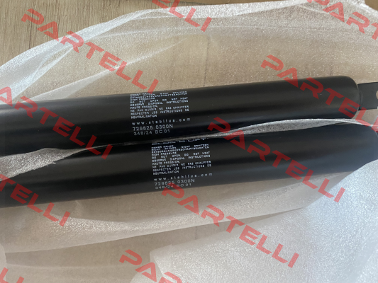 729825 Stabilus
