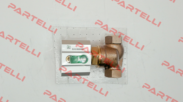 G1018224SC Pneumax