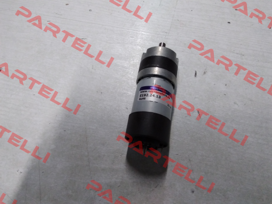 E192.24.13 Micro Motors