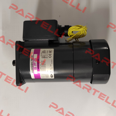 S9I90GSH-TECE Spg Motor