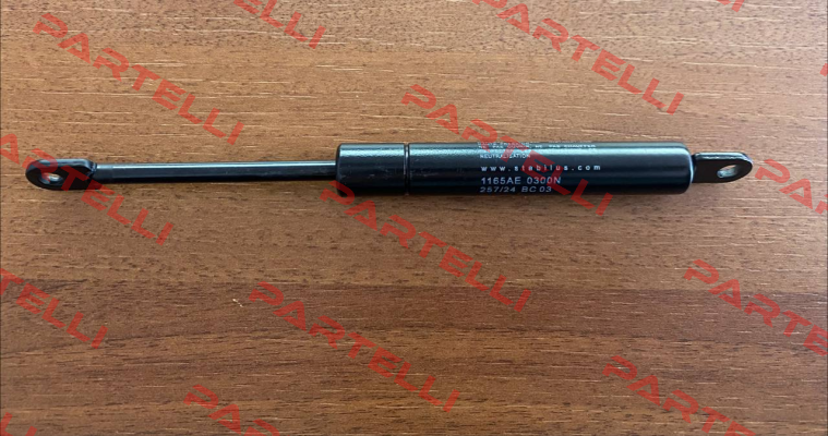 1165AE 0300N 264/04 E 09 Stabilus