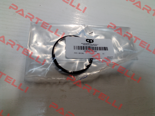 A0ORW0153/00O POMPE CUCCHI SRL