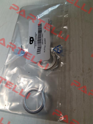 V0RAA23X00017 POMPE CUCCHI SRL