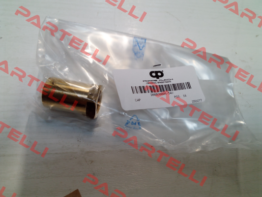 D00BO0005/54V POMPE CUCCHI SRL