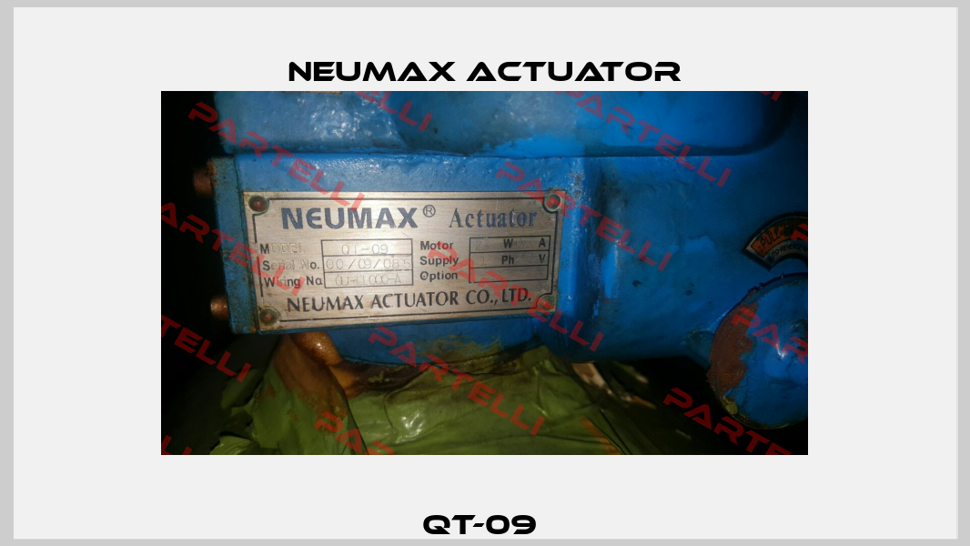 QT-09  Neumax Actuator