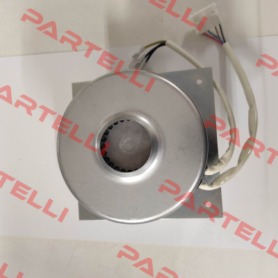 16825 Domel