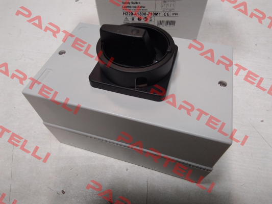 H220-41300-710M1 Salzer