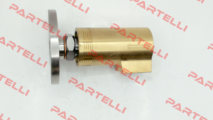 900165 Haag Zeissler