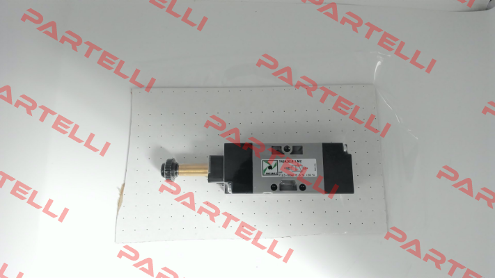 T424.32.0.1.M2 Pneumax