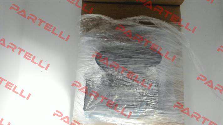 WE255-4R100Z24/0H Voith