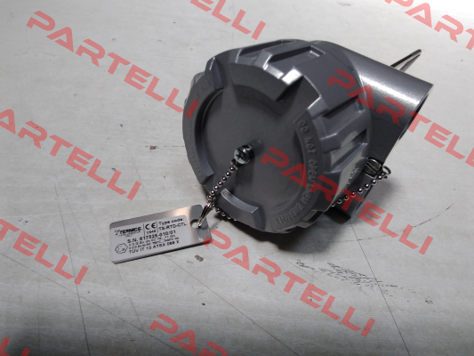 TS-RTD-CTL Termics