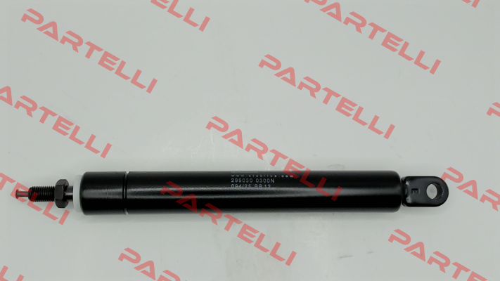 299030 Stabilus