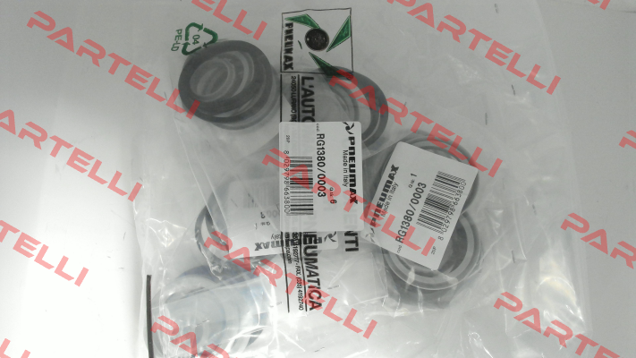 RG1380/0003 Pneumax