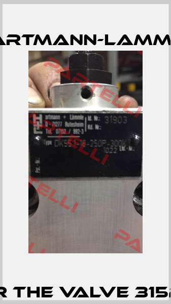 seals for the valve 31524-60 1031  Voith