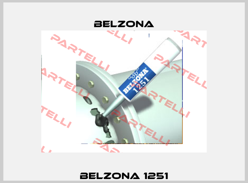 Belzona 1251 Belzona